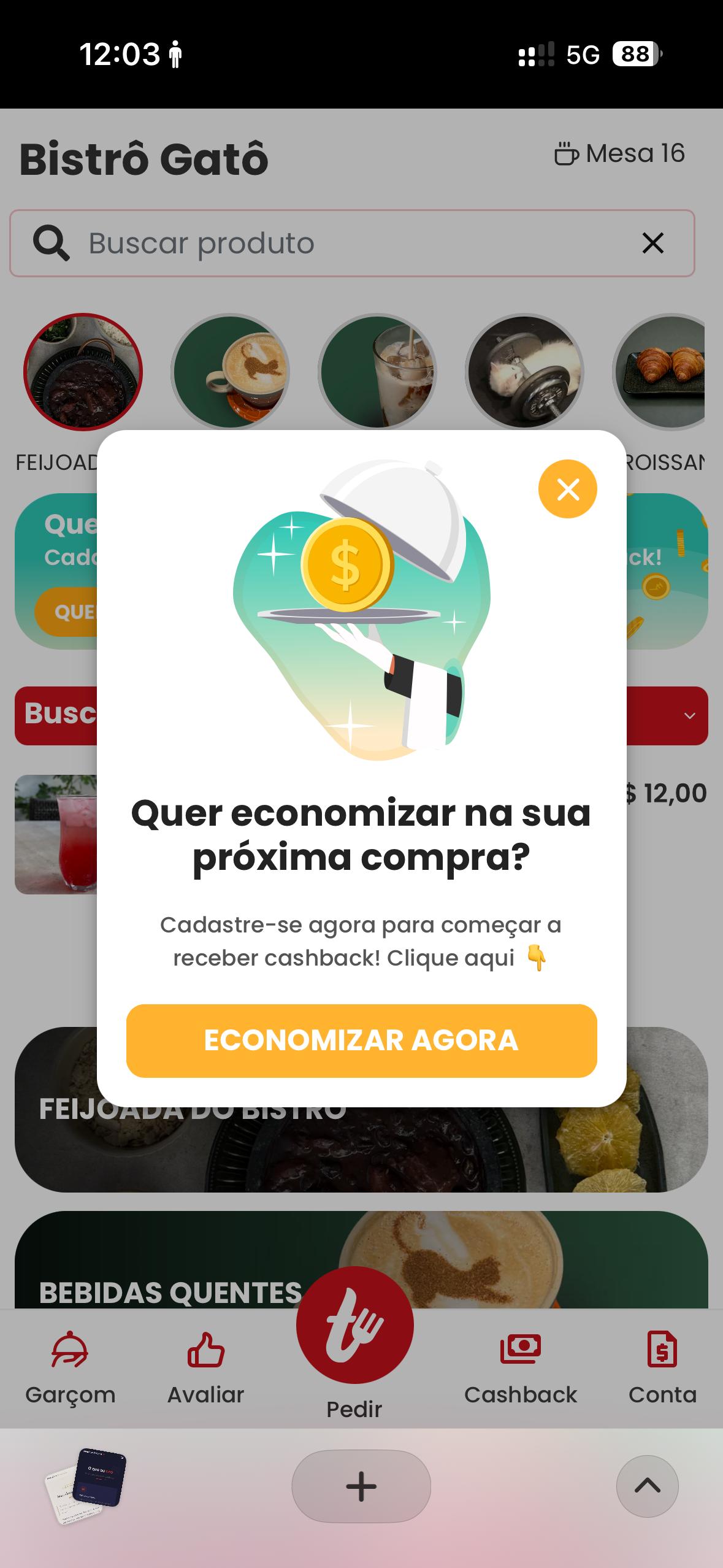 Referência bistro-gato · 05