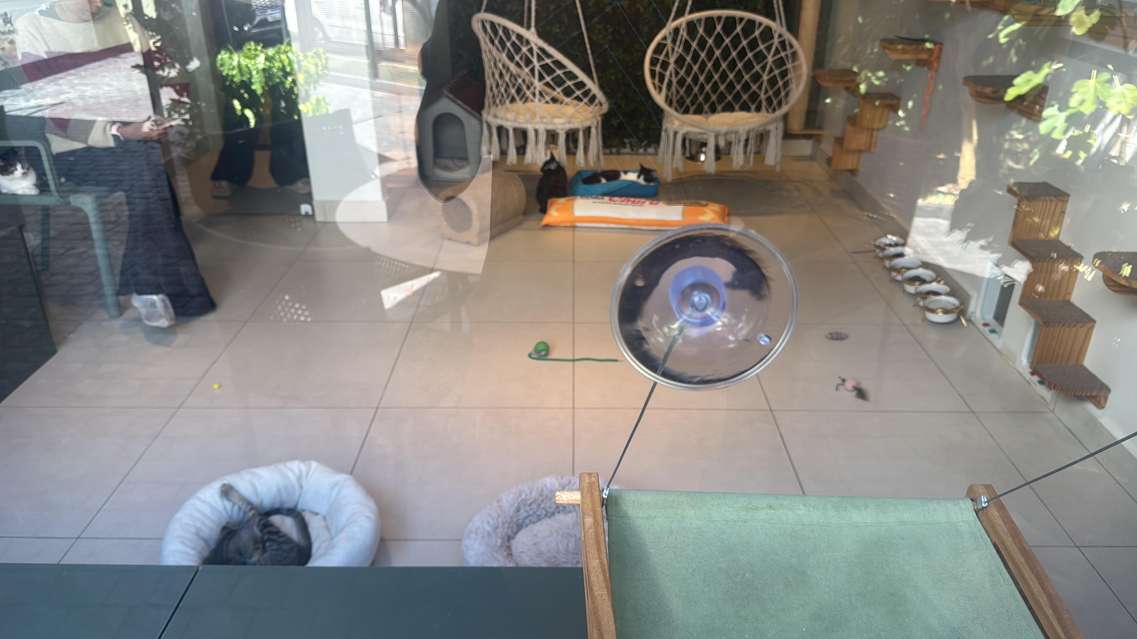 Referência bistro-gato · 17